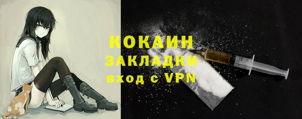 эйфоретик Арсеньев