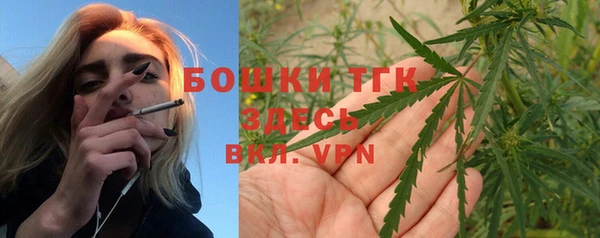 эйфоретик Арсеньев